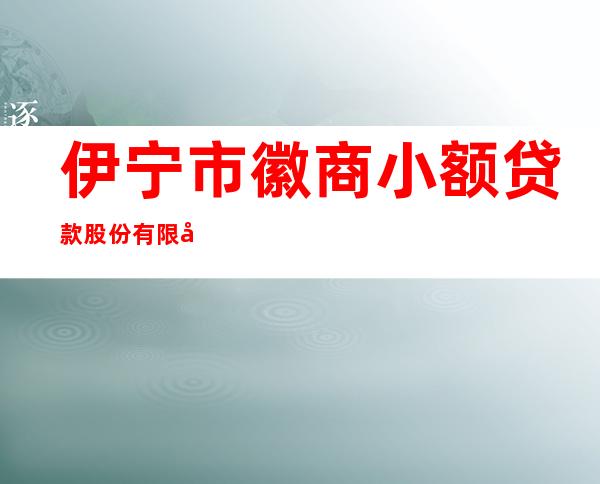 伊宁市徽商小额贷款股份有限公司